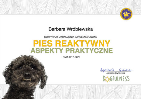 Barbara Wróblewska Pies reaktywny - aspekty praktyczne.jpg