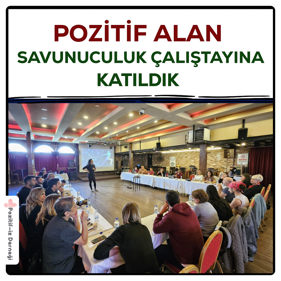 Pozitif Alan HIV Savunuculuk Çalıştayı’na Katıldık