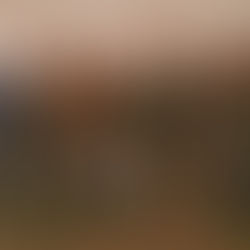 1 Aralık Dünya AIDS Günü 2018