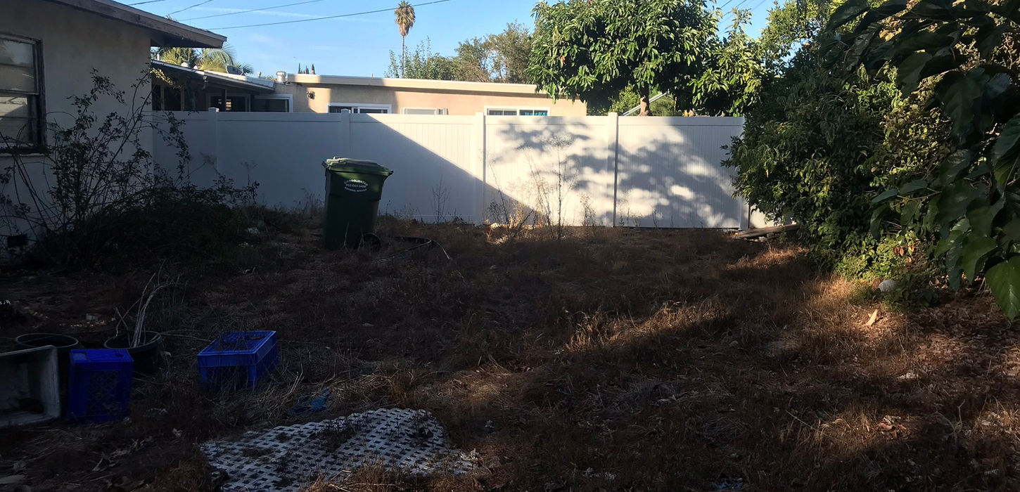 Neglected backyard