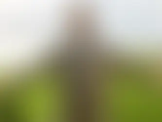 Szene aus „Horst Schlämmer sucht das Glück“: Horst Schlämmer steht mit ausgebreiteten Armen auf einem Deich an der Nordsee.