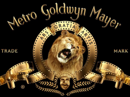 Amazon MGM Studios sichern sich Rechte: Freida McFaddens Bestseller „The Tenant“ wird verfilmt