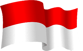 png-transparent-red-and-white-flag-illustration-flag-of-indonesia-flag-of-palestine-flag-m