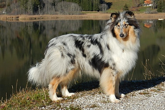 Lac_Noir_balade_211120_avec_Fam_Ciocca__36.jpg