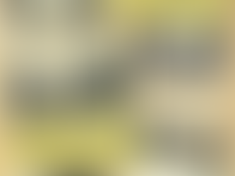 Les écoles du Village…