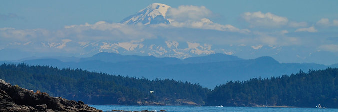 Pacific Northwest forests