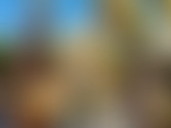 Who Says This Disabled Person Can't Dance?