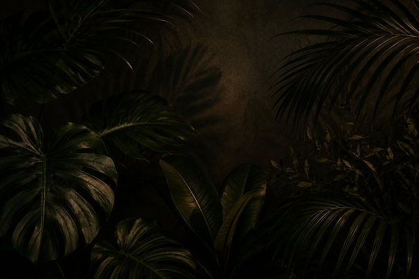 b63477bd-dafc-4cf2-bc7f-95535ed394d5.png