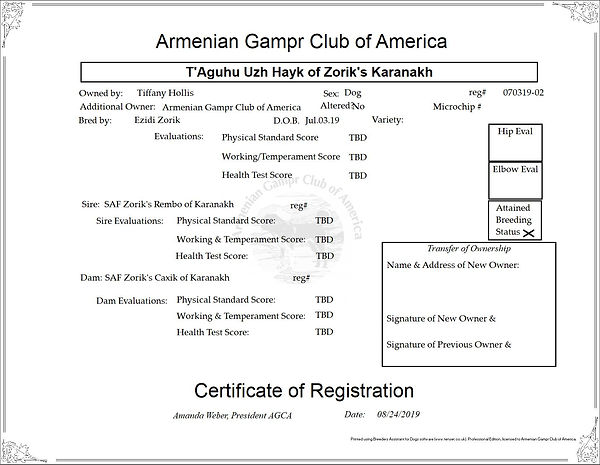 Hayk registration.jpg