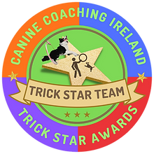 team badge.png