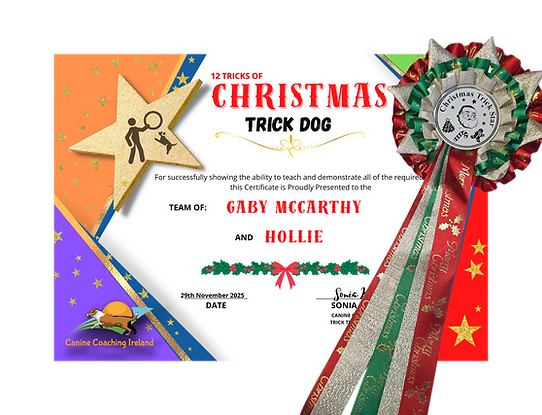Christmas 25 cert & Rosette.png