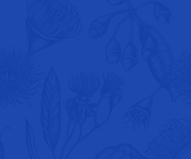 Website background_blue eucalyptus.png