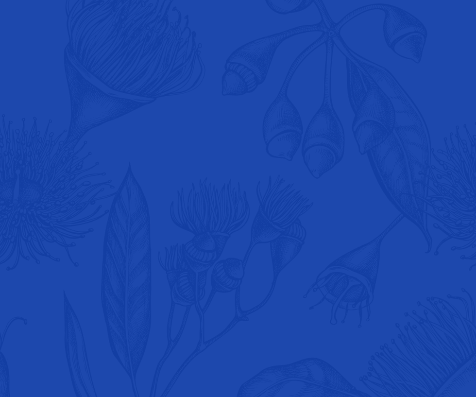 Website background_blue eucalyptus.png