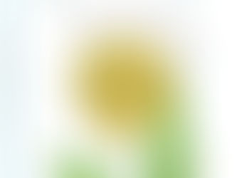 <한밤중 도깨비시장에서 생긴 일>