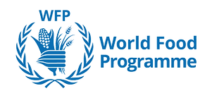 logo%20-%20WFP%20-world-food-program_edited.png