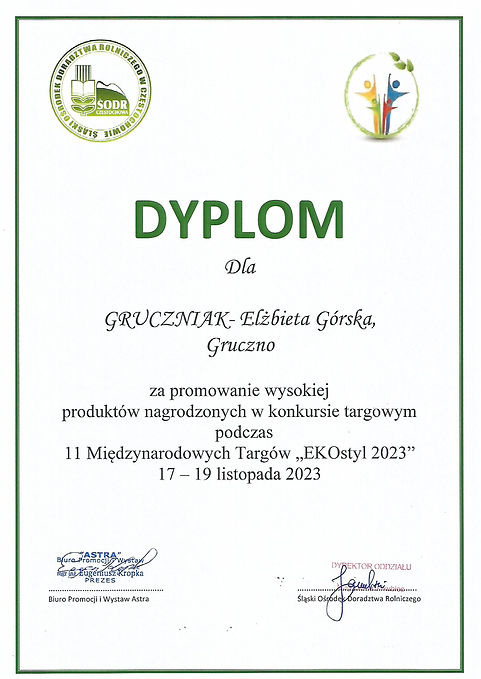 DYPLOM GRUCZNIAK EKOKRYSZTAŁ BIELSKO-BIAŁA.jpg