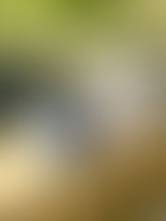 Mother's Day Travel Tumbler Workshop at Ceramic Souls