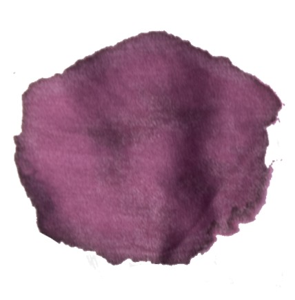 Foto do escritor: gipagotto