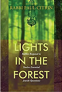 Screenshot 2022-08-04 at 21-54-03 Amazon.com Lights in the Forest Rabbis Respond to Twelve