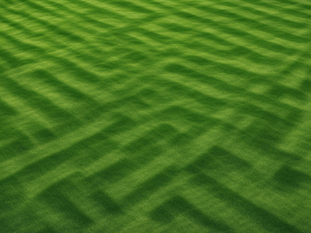 Expert Tips for a Lush Lawn in Albany, GA