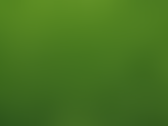 Expert Tips for a Lush Lawn in Albany, GA