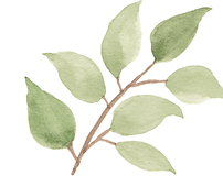 4.png
