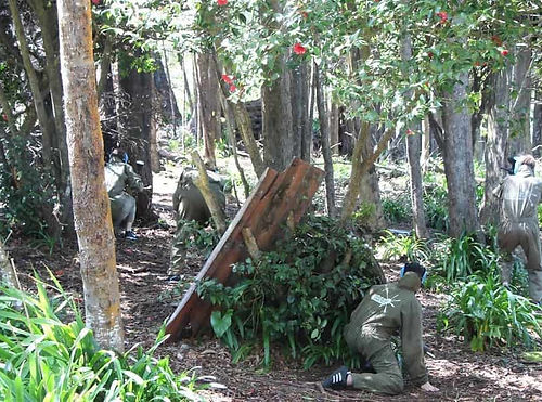 paint-balling.jpeg