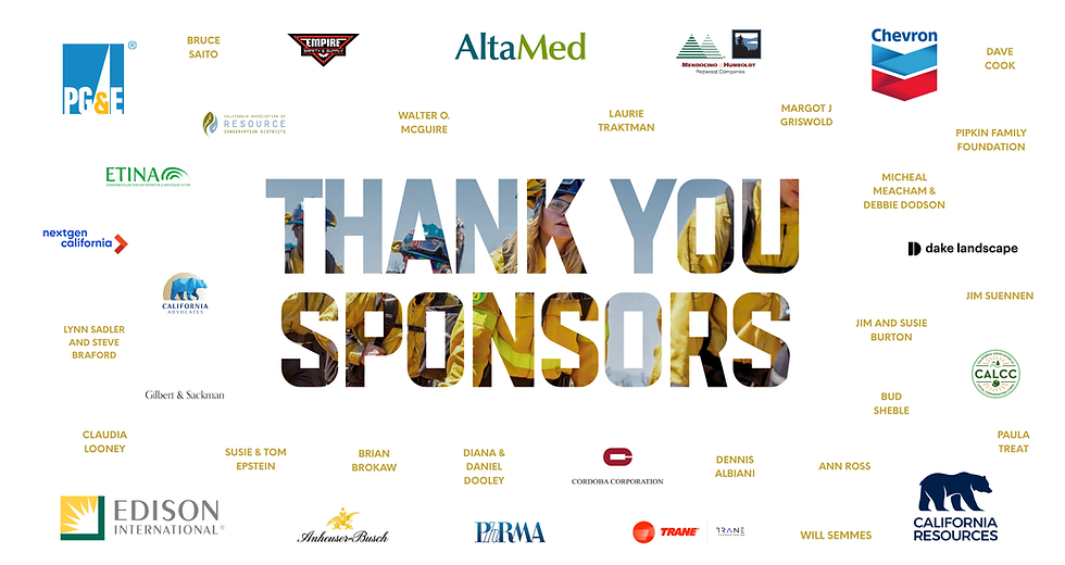THANK YOU SPONSORS (1).png