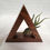 Thumbnail: Air Plant Walnut Triangle Decor
