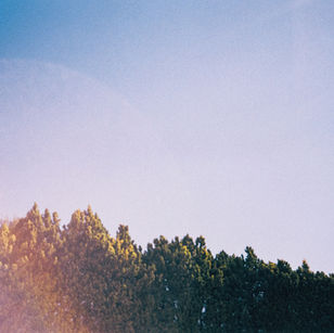 IKIGAI Júlia Lladó