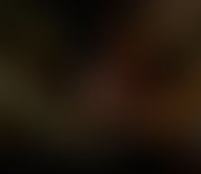 Visiting a Mayan community: an in-depth look to the real México