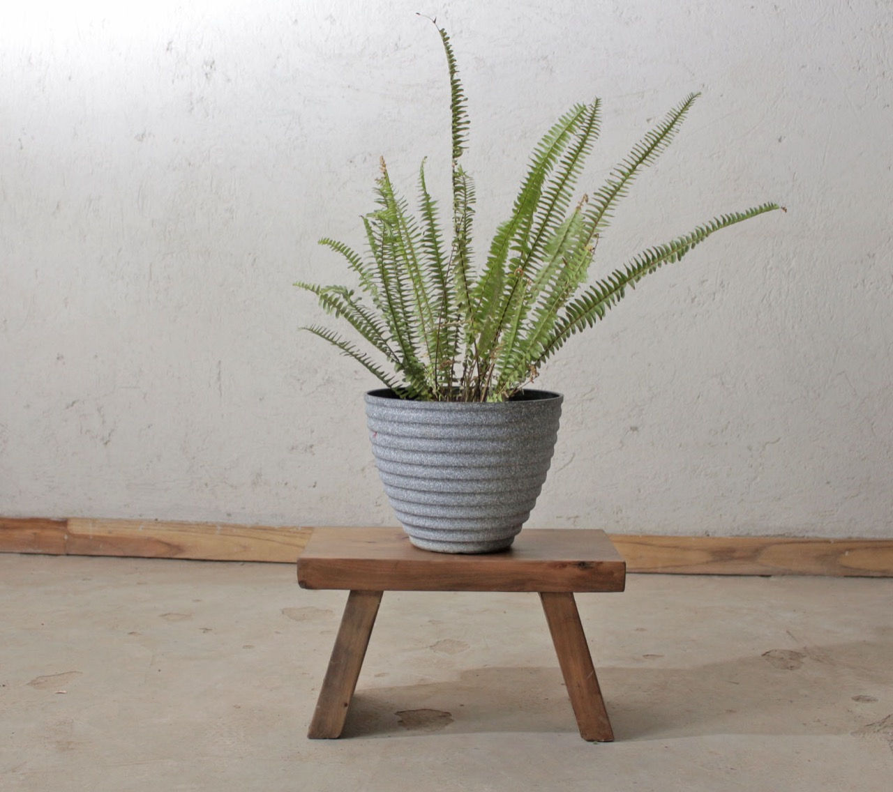 Plant stools