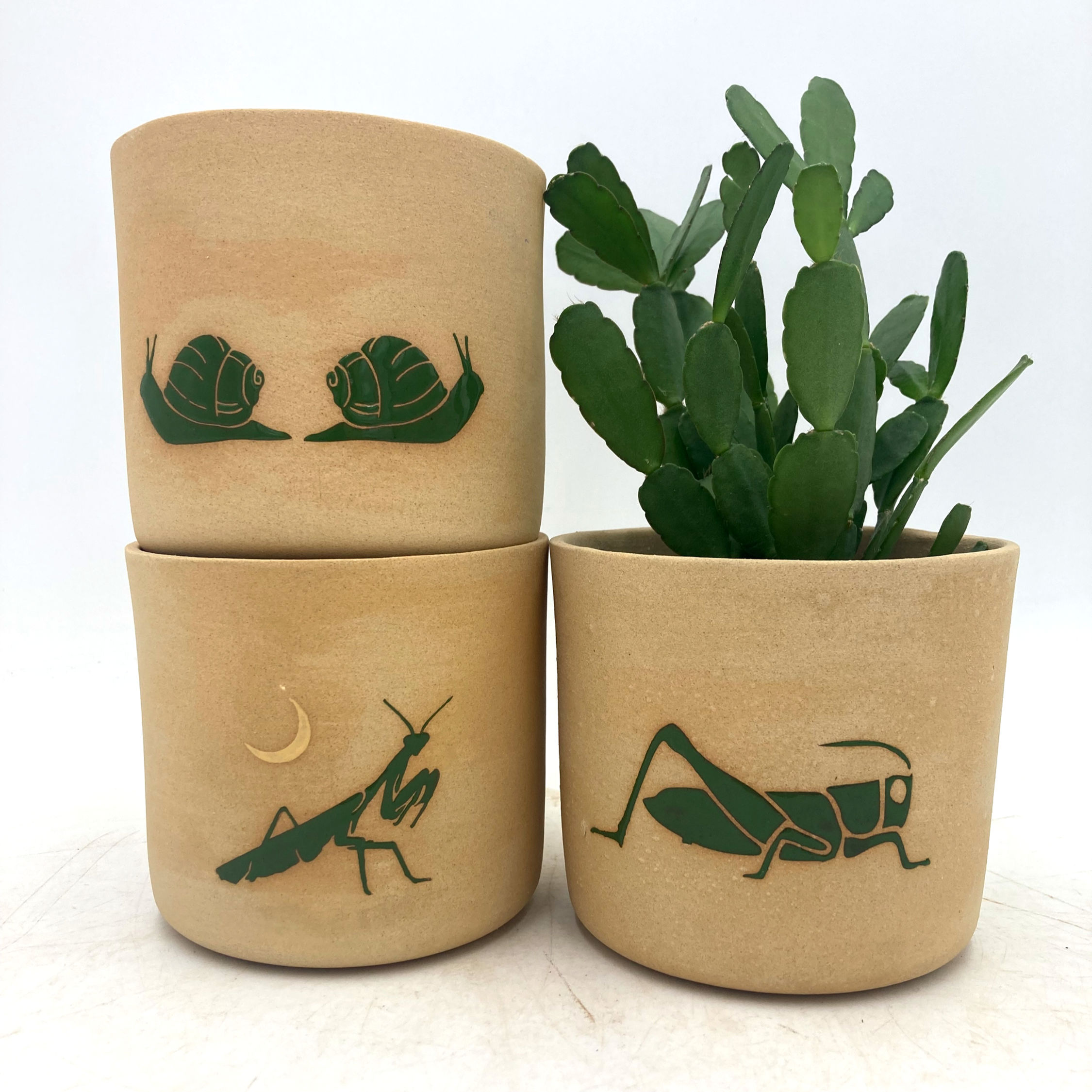 Garden Bugs Plant Pot/Planter