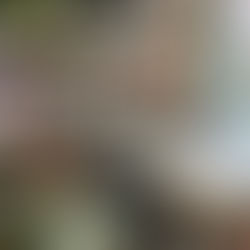 モノを捨てられないあなたへ　ご年配のお客様の片づけ事例