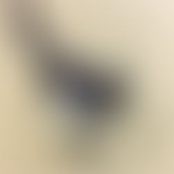 Varning för målarväggen!