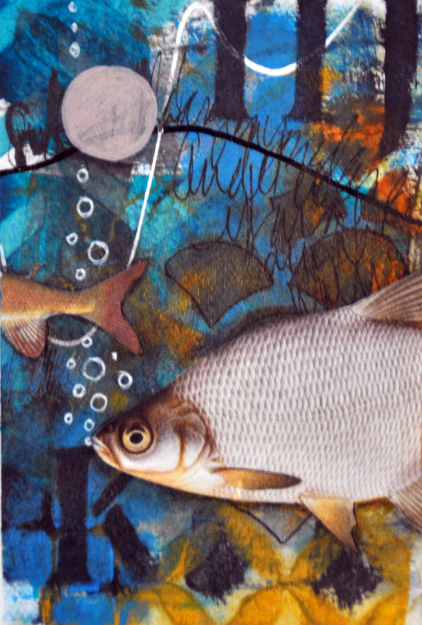 fish