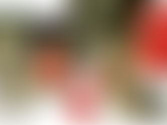 BOTTEGA SPRING INSPO