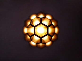 honey 3.jpg