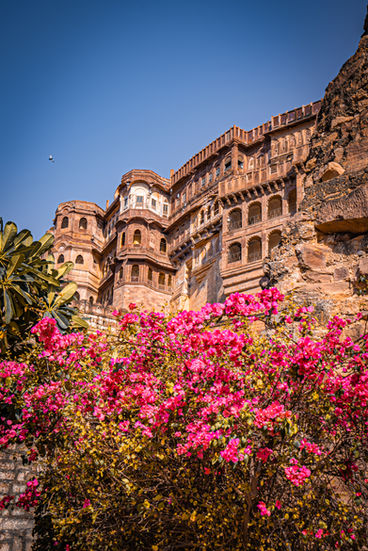 Mehrangarh Fort
