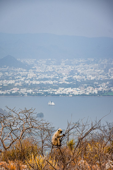Monsoon Palace