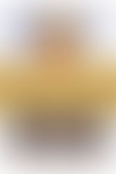 The Monkey Temple of Kathmandu