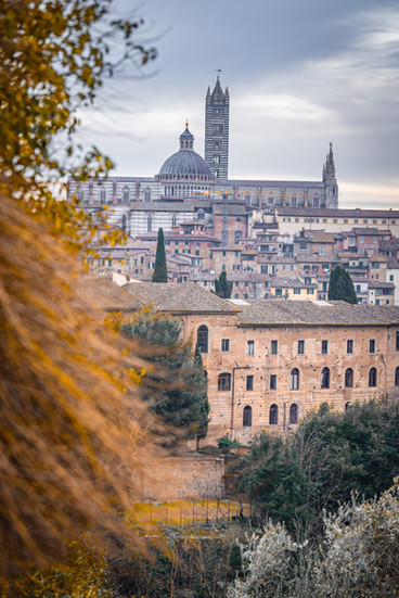 Vista Panoramica di Siena