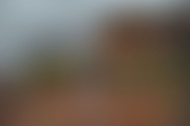 The Laid-Back La Gomera