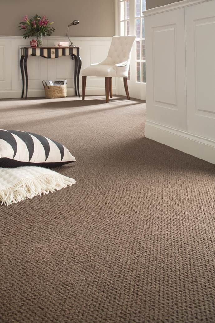 carpet cleaning near me