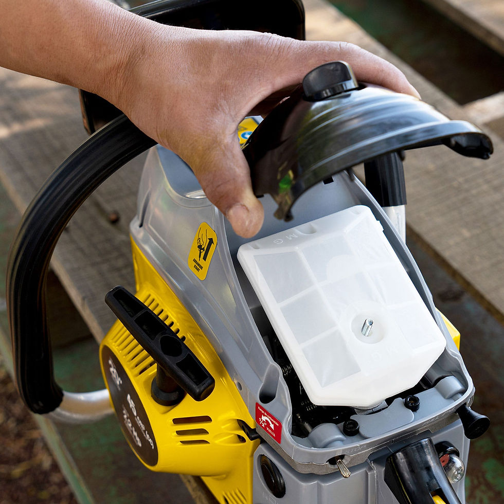 Miniatura: Motosierra 45 cc a gasolina con barra de 20', Pretul