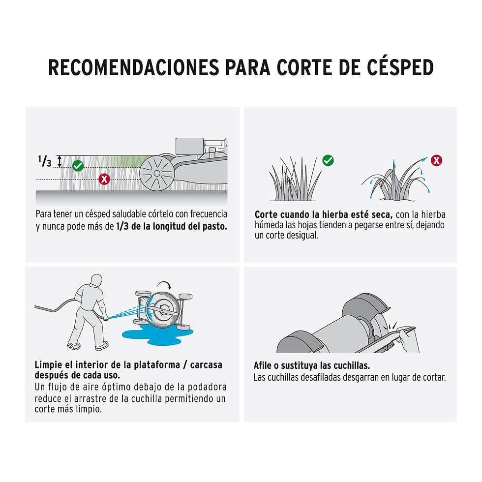Miniatura: Podadoras con motor a gasolina, 6HP, de 22'