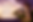 ChatGPT Image Jun 17, 2026 at 06_17_25 PM.png