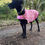 Thumbnail: Fleece Jackets with Wool inner