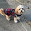Thumbnail: Fleece Jackets with Wool inner