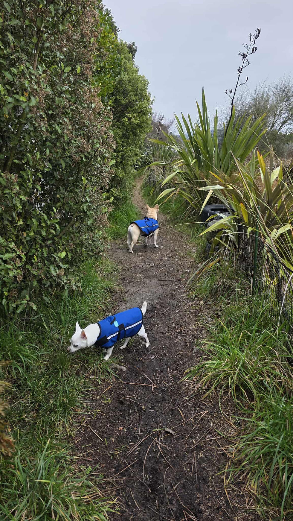 Thumbnail: Rain Jackets